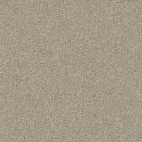 Light Clay carpet swatch